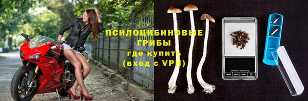 бошки Богданович