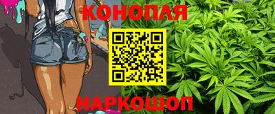 прущие крисы Бийск