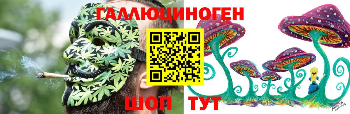 Галлюциногенные грибы Psilocybine cubensis Гудермес
