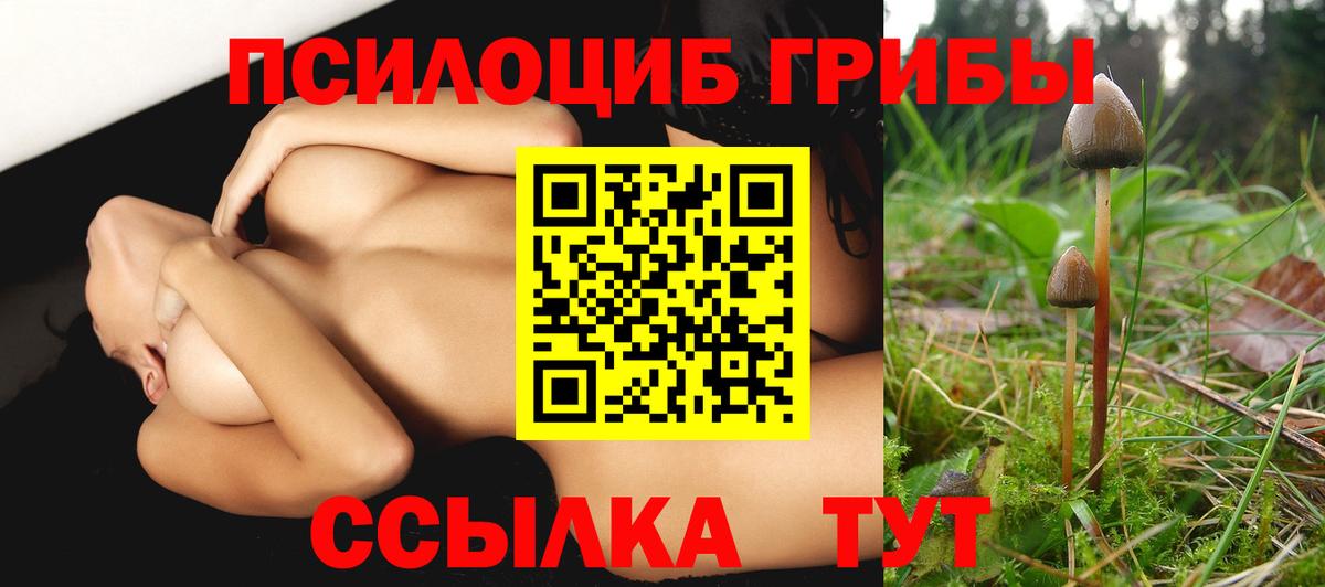 Псилоцибиновые грибы Magic Shrooms  Вход с VPN  Гудермес 
