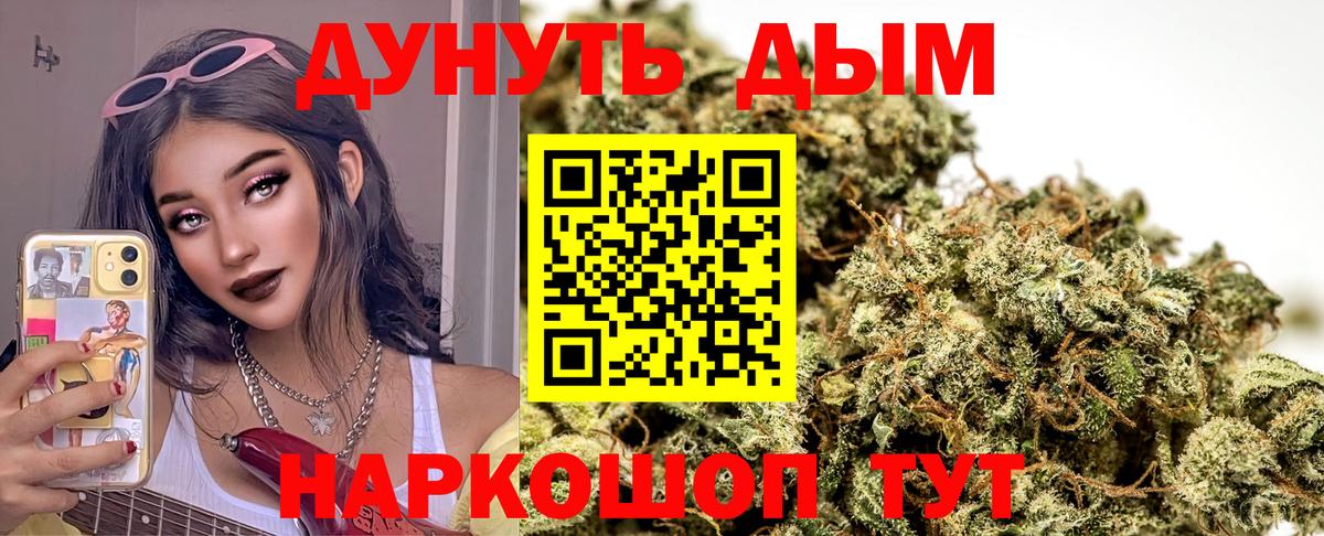 Конопля SATIVA & INDICA Гудермес